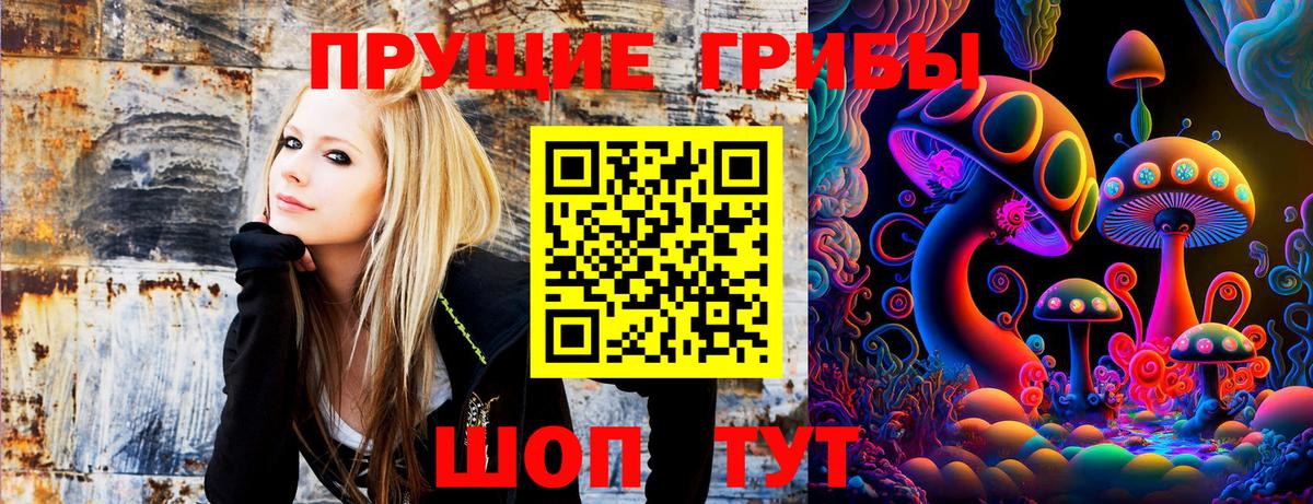 Галлюциногенные грибы Psilocybe  Галлюциногенные грибы прущие грибы  Луга 