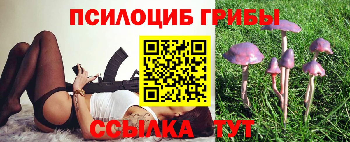 Псилоцибиновые грибы MAGIC MUSHROOMS Луга