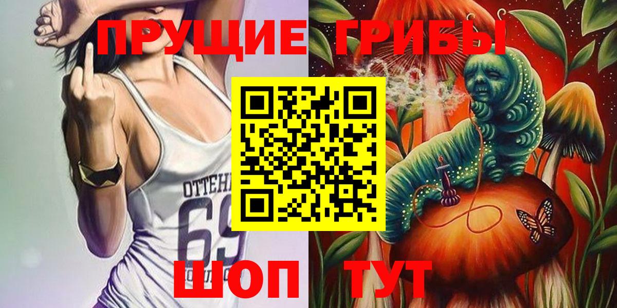 Псилоцибиновые грибы Psilocybine cubensis Луга