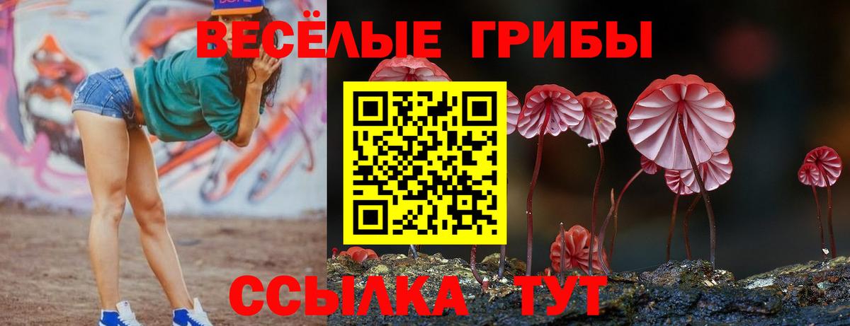Луга  Галлюциногенные грибы Psilocybe  Вход с VPN 